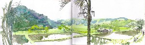 rizières Mudan