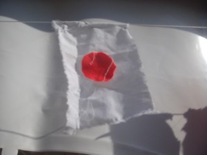 hommage au Japon, festival diversité