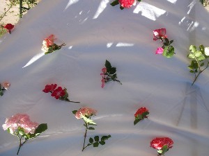 châle Slave en fleur fraiches, l'original!