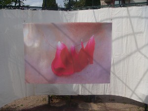 Voir la page