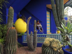 croquis au jardin Majorelle