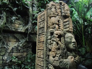 mayas