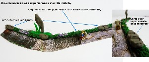 chemins réalisé par les habitants